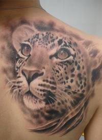 肩部棕色动物豹头纹身图案