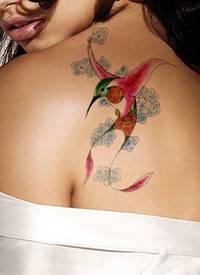 女性肩部水彩色蜂鸟纹身图案