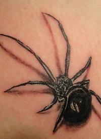 黑色写实逼真的蜘蛛纹身图案