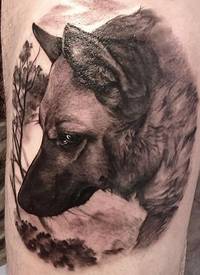 腿部逼真的德国牧羊犬纹身图片