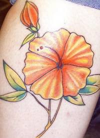 腿部彩色橙色的木槿花纹身图案
