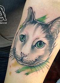 漂亮的猫绿色眼睛纹身图案