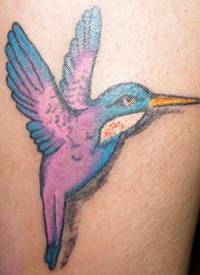 精美的紫色蜂鸟纹身图案