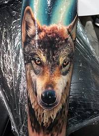 手臂彩色逼真的狼头纹身图案