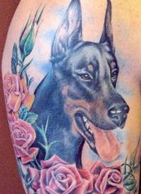 杜宾犬玫瑰纹身图案