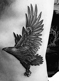 侧肋雕刻风格黑色个性的鹰纹身图案