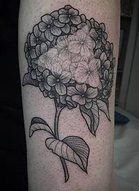 手臂黑色美丽的花朵与白色三角形纹身图案