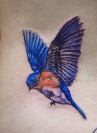 腰部彩色小鸟喜鹊纹身图案纹身图片