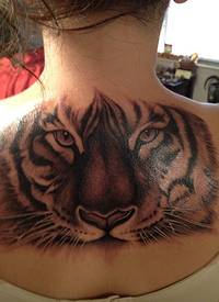 背部插画风格写实逼真的老虎头像纹身图案