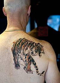 男性背部自然彩色的咆哮亚洲虎纹身图案