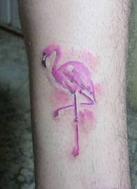 腿部彩色简单的自制粉火烈鸟纹身
