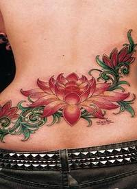 腰部美丽的彩色莲花藤蔓纹身图案