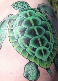 男性肩部彩色海龟纹身图案