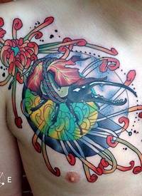 胸部彩色可爱的昆虫和花朵纹身图案