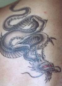 肩部智慧的中国龙纹身图案