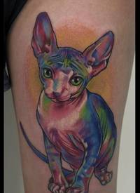 彩虹色的斯芬克斯猫纹身图案