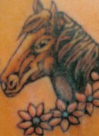 背部彩色马头与花朵纹身图案