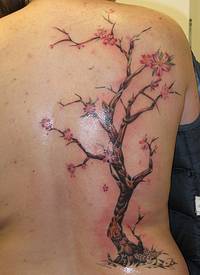 背部可爱的写实樱花树纹身图案