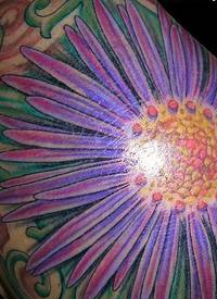 肩部彩色巨大的紫苑花纹身图案