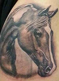 男性肩部彩色马头纹身图案