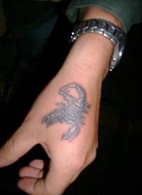 手部白色中型蝎子纹身图案