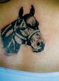 女性背部简约马头纹身图案