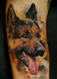 写实德国牧羊犬彩绘纹身图案