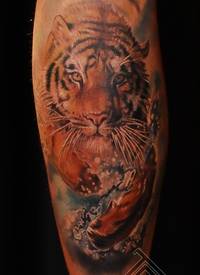 腿部彩色逼真的老虎纹身图案