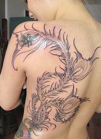 背部美丽的孔雀羽毛纹身图案