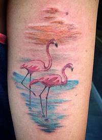 手臂自制式彩色火烈鸟夫妇纹身图案