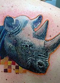 肩部现代风格的彩色逼真犀牛头纹身图片