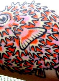 手臂彩色漂亮的怪鱼纹身图案