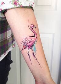 手臂插画风格水彩色火烈鸟纹身图案