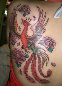 背部可爱的凤凰和花朵彩色纹身图案