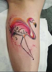 手臂水彩色火烈鸟刻字纹身图案