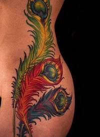 女性腰侧彩色孔雀羽毛纹身图案