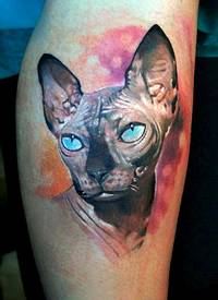 写实风格彩色斯芬克斯猫头像纹身图案