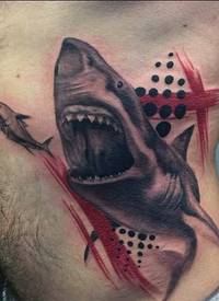 腰部彩色鲨鱼追逐鱼纹身图案