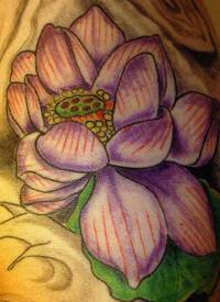 淡紫色莲花经典纹身图案