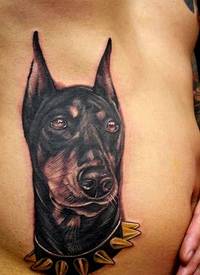 侧肋黑白的杜宾犬与狗项圈纹身图案
