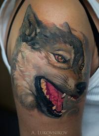 肩部彩色全新学校风格自然狼纹身图案