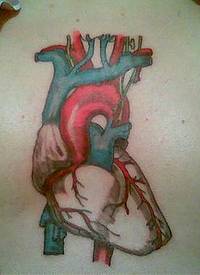 胸部彩色生物心脏纹身图片