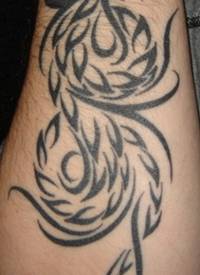 手臂黑色部落凤凰符号纹身图案