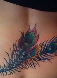 腰部五彩美丽的孔雀羽毛纹身图案