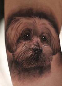可爱逼真的狗肖像纹身图案