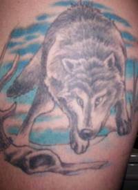 狼与蓝天纹身图案
