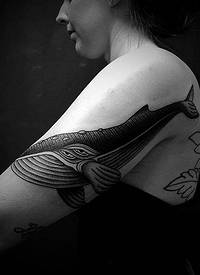 女生手臂上黑色素描点刺技巧动物鲸纹身图片