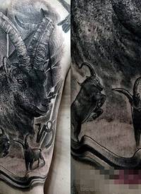 男生手臂上黑色点刺技巧小动物羚羊纹身图片