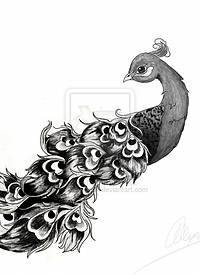 黑灰素描创意动物唯美孔雀纹身手稿