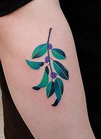 女生手臂上彩绘清新唯美植物纹身图片
